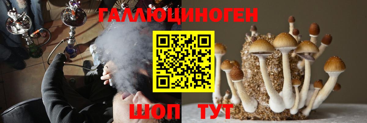 Галлюциногенные грибы мицелий Костомукша